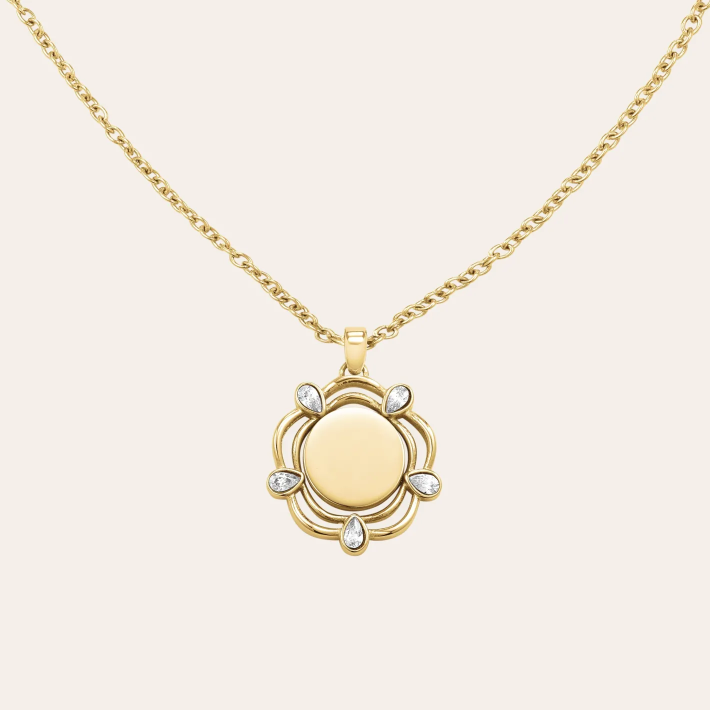 Rosefield Coin Drop Necklace New