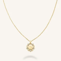 Rosefield Coin Drop Necklace New
