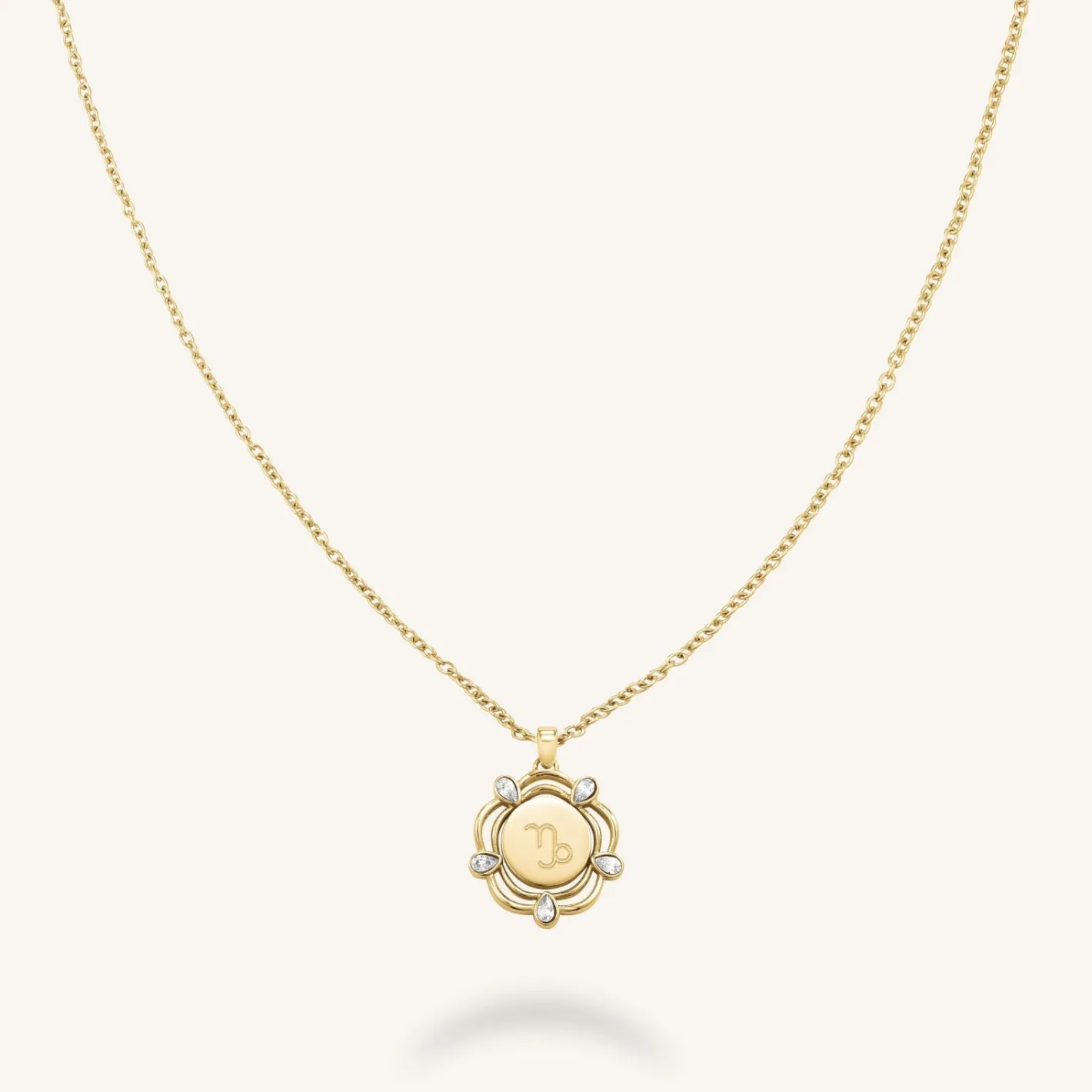 Rosefield Coin Drop Necklace New