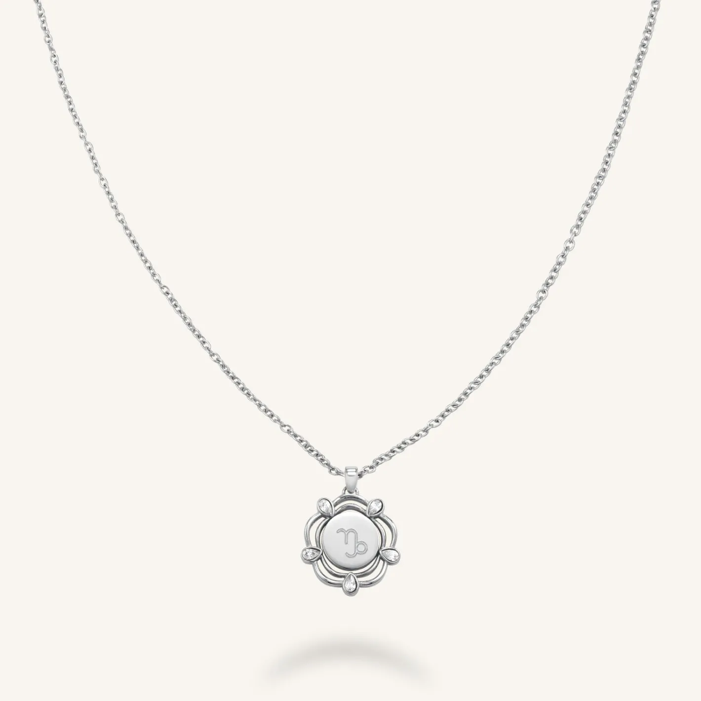 Rosefield Coin Drop Necklace New