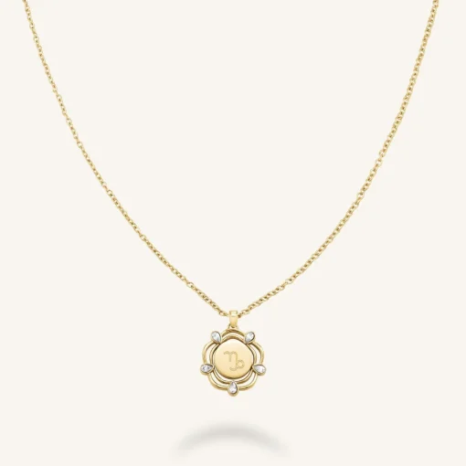 Rosefield Coin Drop Necklace Online